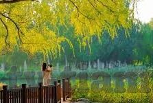 不卡av日韩在线观看-探索网络视频的便捷与挑战，不卡顿的日韩在线观看体验