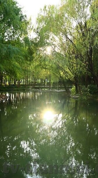 果冻传媒下载app苹果-探索果冻传媒App，苹果设备上的娱乐新选择