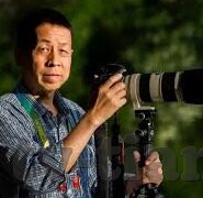 麻豆成人av在线-数字时代的隐秘角落，网络XX视频的迷思与思考