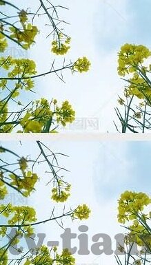 糖心app苹果版下载-1. 深入浅出的界面设计，用户体验的盛宴