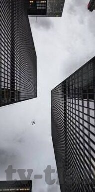 糖心app最新下载地址-获取最新糖心app下载地址的实用指南