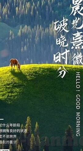 糖心vlog破解版软件分享-糖心Vlog，透视网络视频分享的魅力与隐患